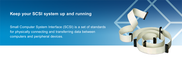 Small Computer System Interface (SCSI) is a set of standards 